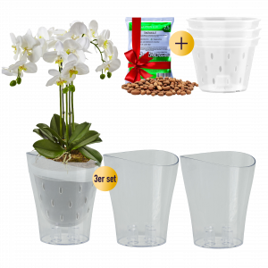 3er-Set Orchideentöpfe mit 3er-Set Orchideentöpfe mit Drainagelöchern  und Tongranulat