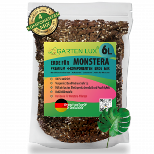Erdsubstrat für Monstera Pflanzen