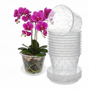 Orchideentöpfe Transparent mit Untersetzer und Drainagelöchern